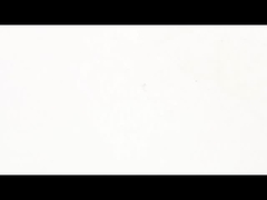 چهار فاز 3.6° NEMA 16 بسته - موتور مرحله ای حلقه ای ترکیب ایده آل کارایی و دقت