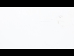 NEMA 23 موتور پنیک استپر فوق العاده - نازک - عملکرد گشتاور بالا