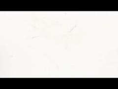 NEMA 8 کدگر موتور خطی خطی خطی خطی خطی - حرکت مترا - حرکت خطی فشرده